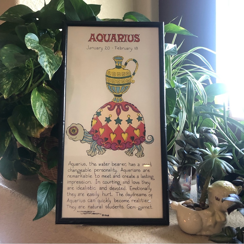 Vintage 1960s Margot Johnson Aquarius Zodiac Print Framed Turtle Groovy